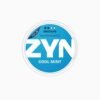 ZYN Cool Mint – 6mg