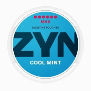 ZYN Cool Mint MAX – 16.6mg